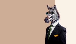 Kabo (zebra)