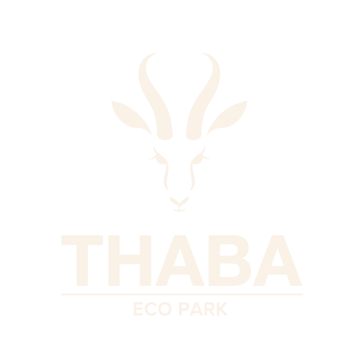 Thaba Eco Hotel